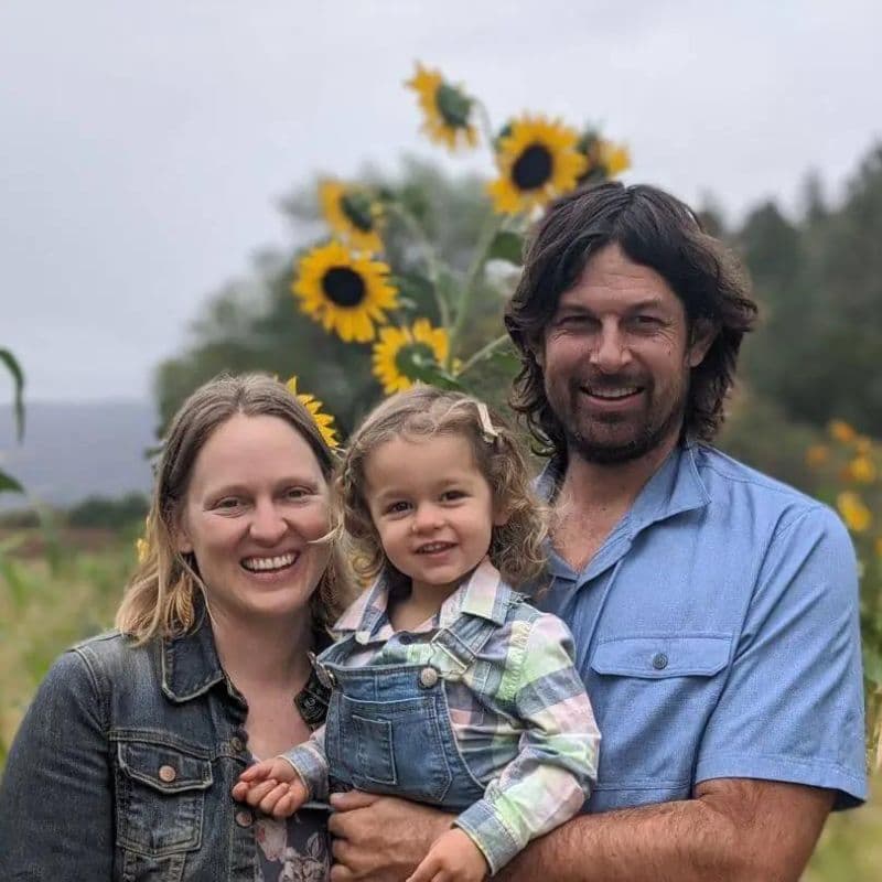 Mendo Grass family with sunflowers